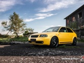 Audi S3 Hornet - Starlite gold